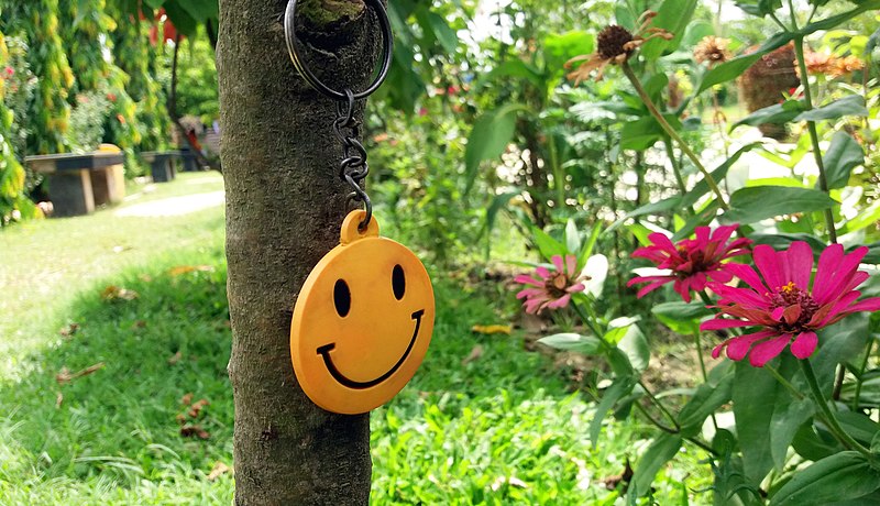 800px-Smiley_key_ring_is_hanging_on_the_tree_in_Janakpur_Nepal